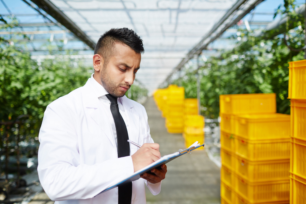 Food Safety Consulting